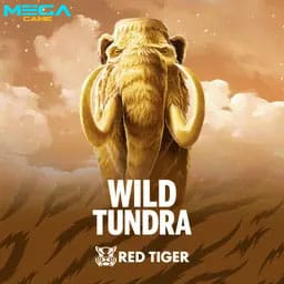 รูป Wild Tundra